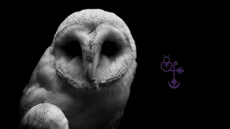 Owl Bones: Divination and Shamanic Magic